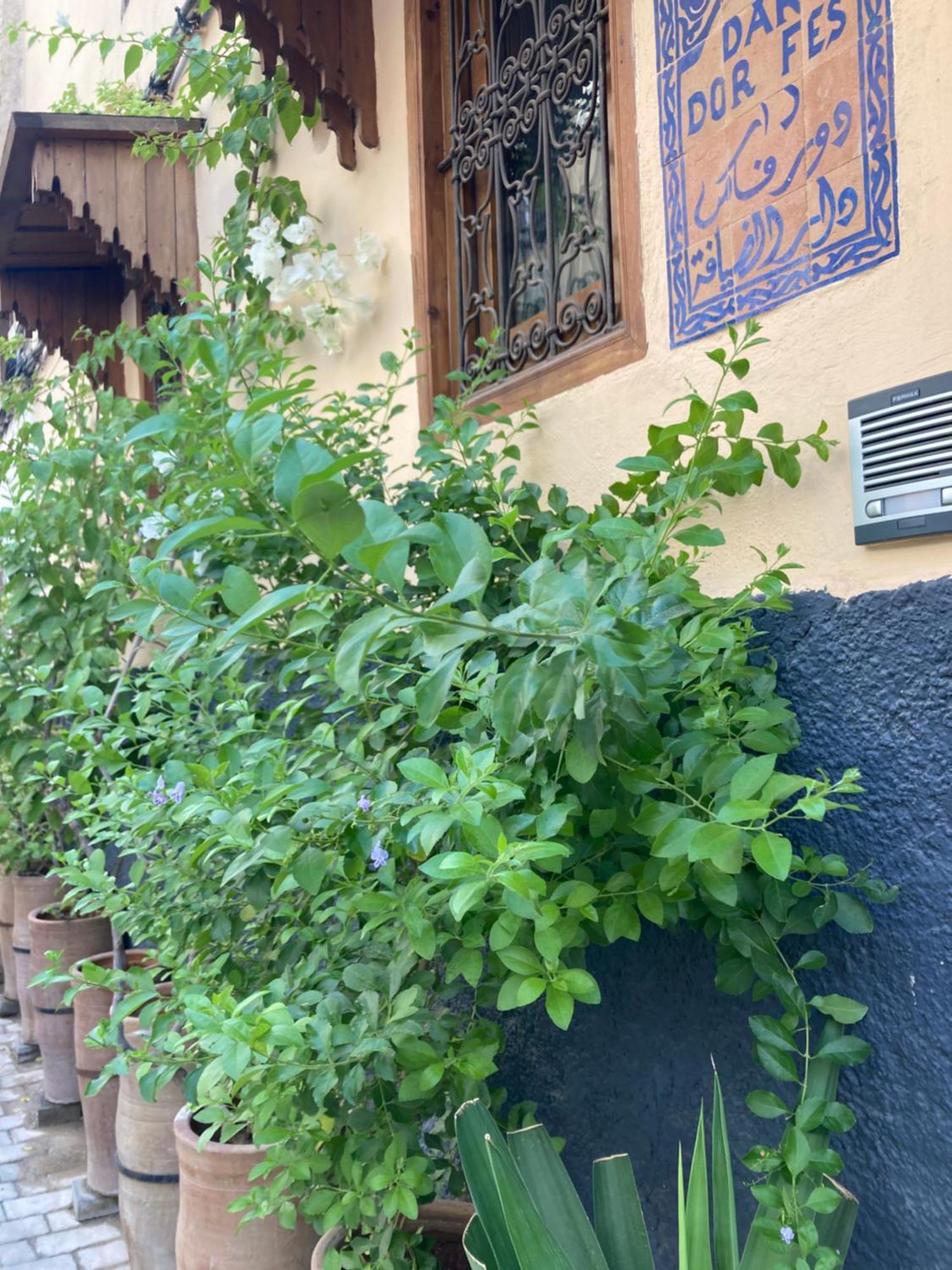 Dar D'Or Fes Hotell Eksteriør bilde